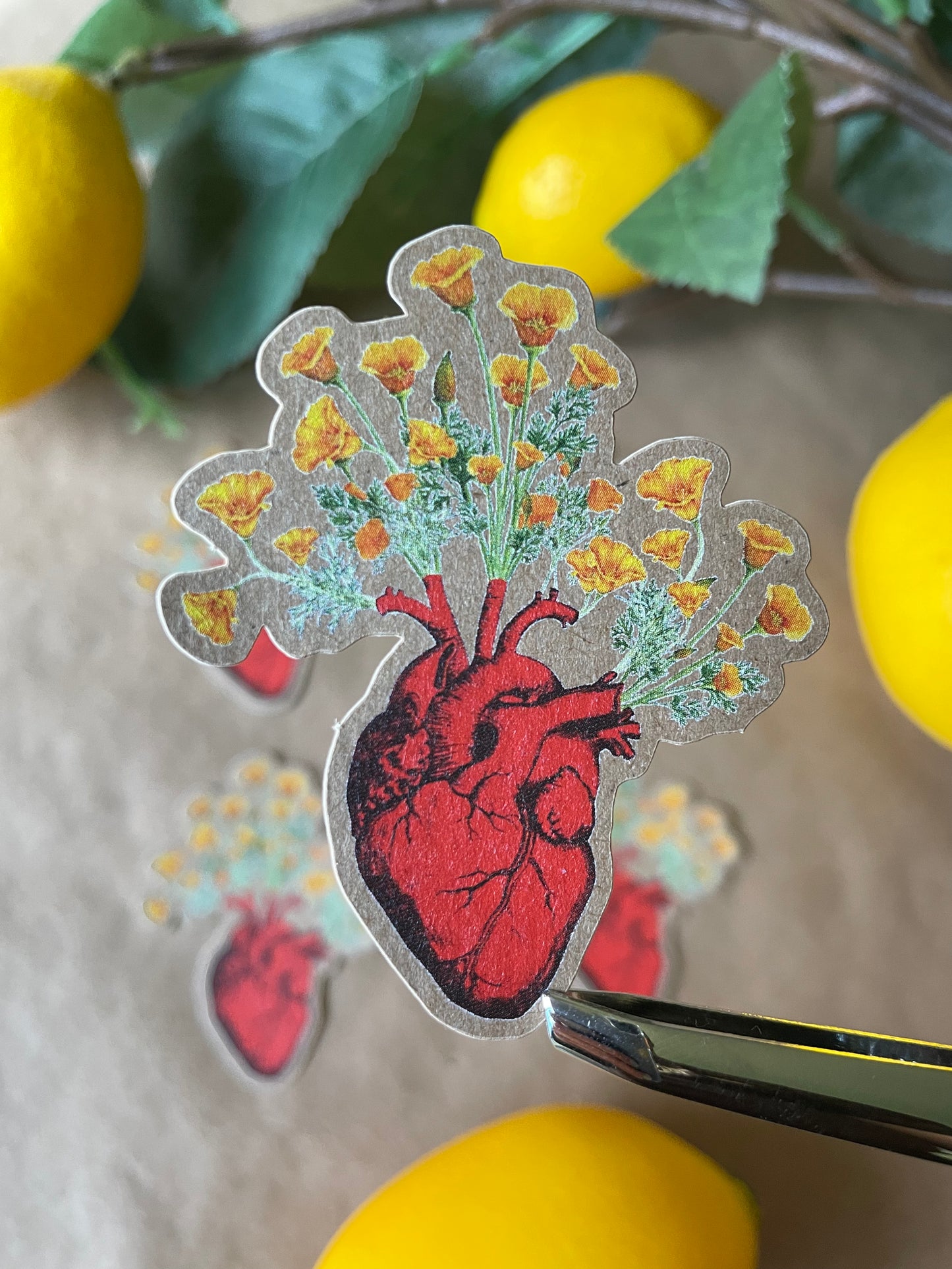 California Poppy Love | Sticker
