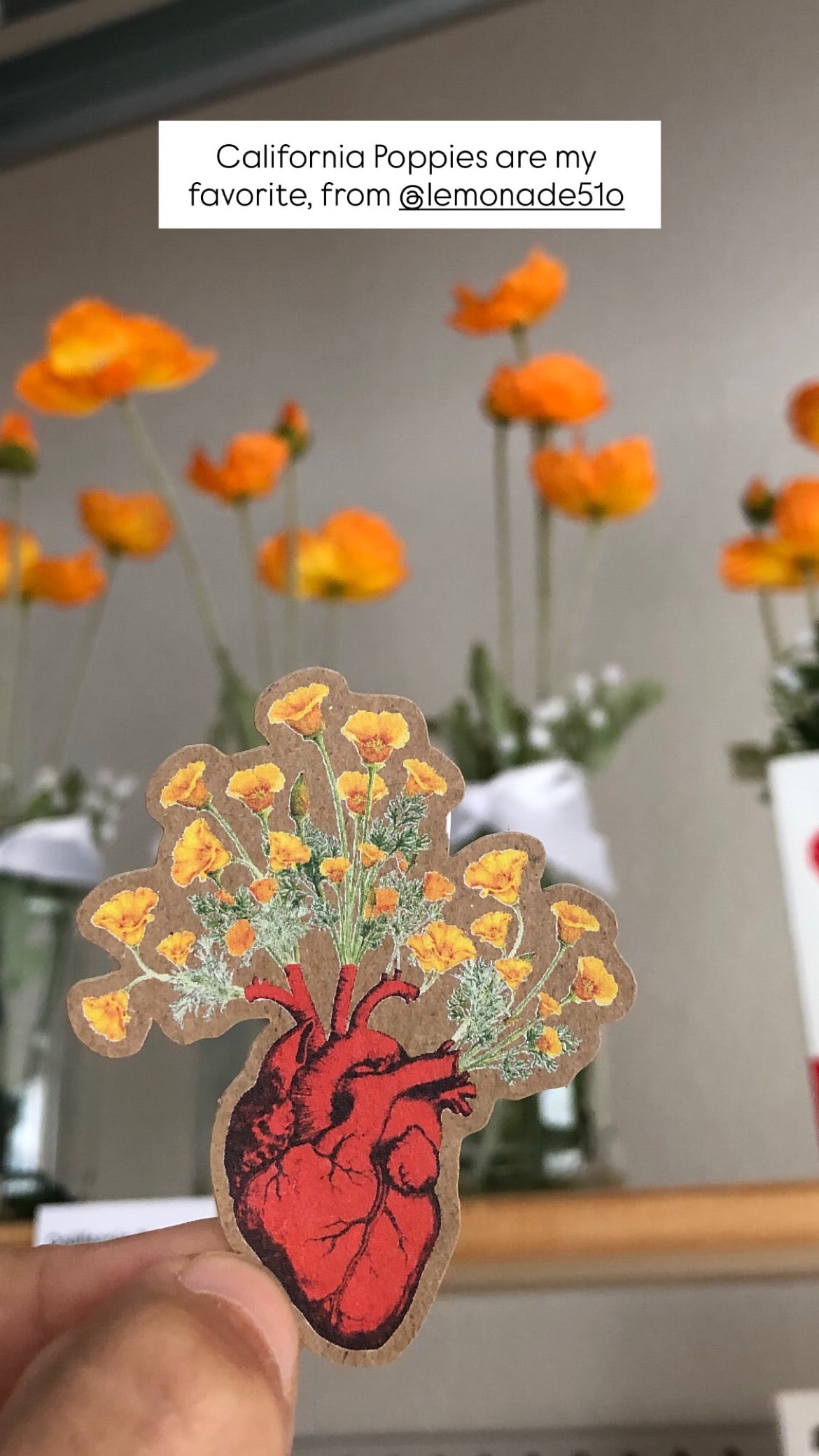 California Poppy Love | Sticker