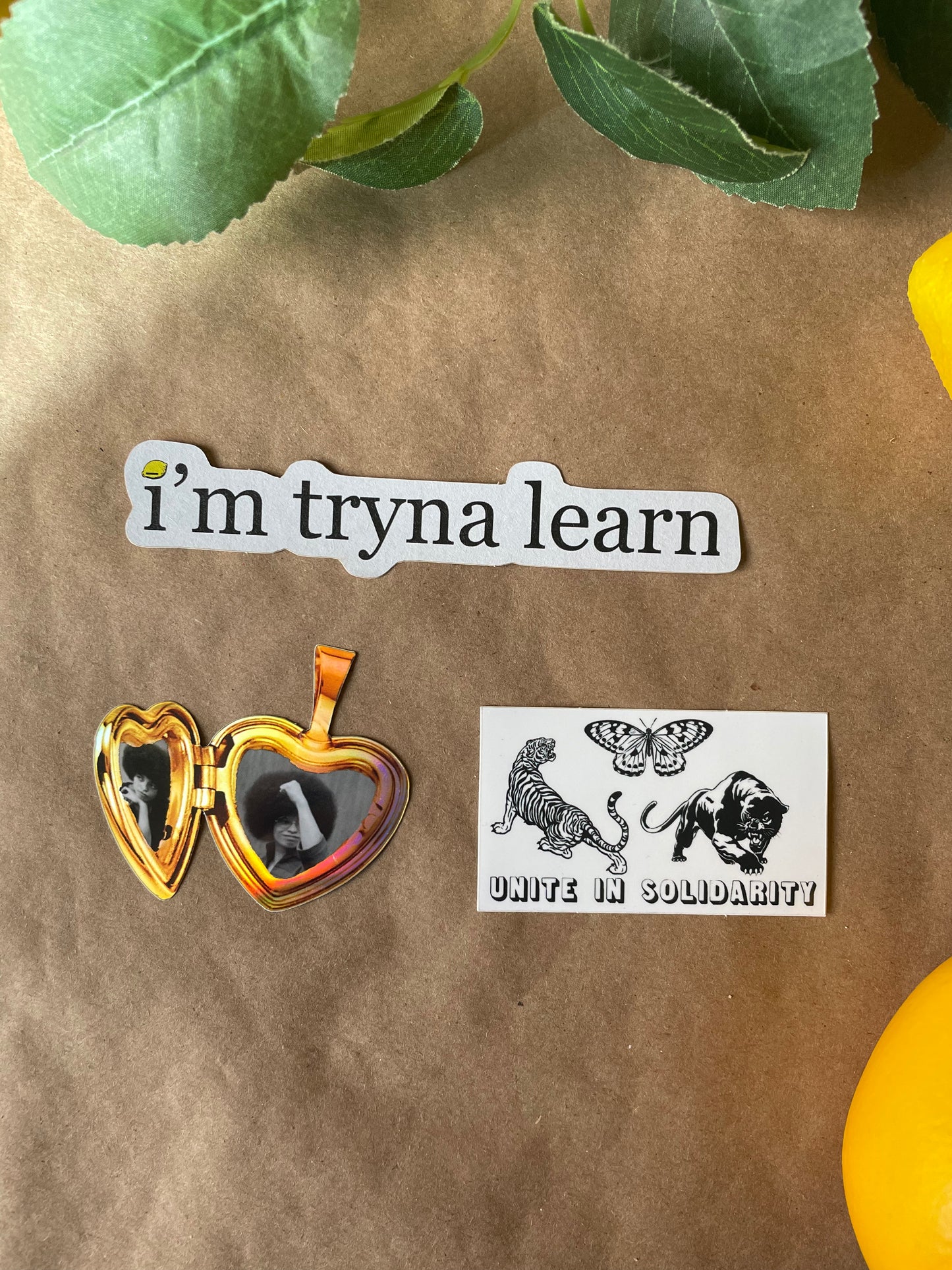 Angela Davis Heart Locket | Sticker