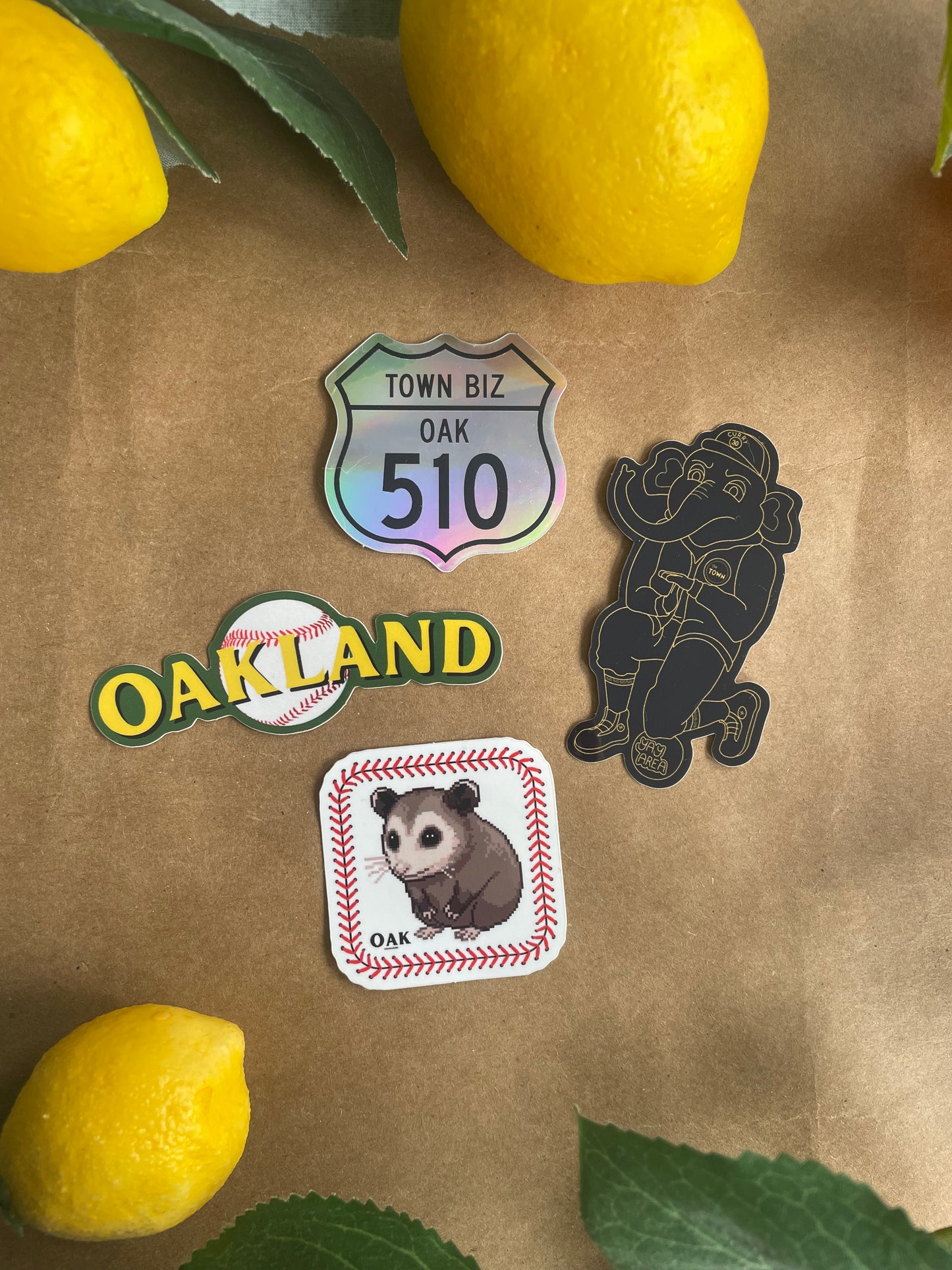 Scrappy The Rally Possum | Sticker