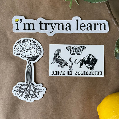 Rooted | Sticker