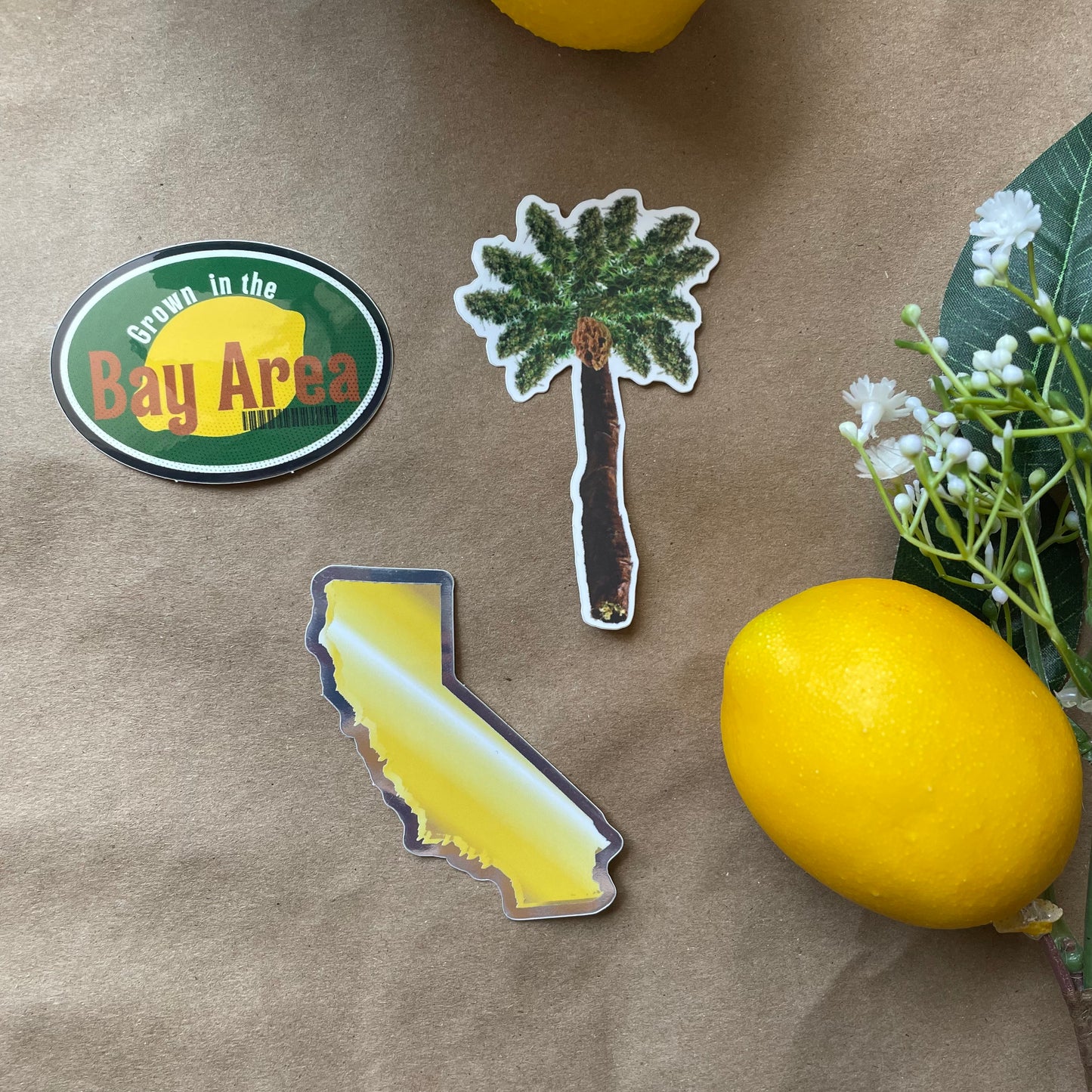 Top Shelf (Weed Palm Tree) | Sticker