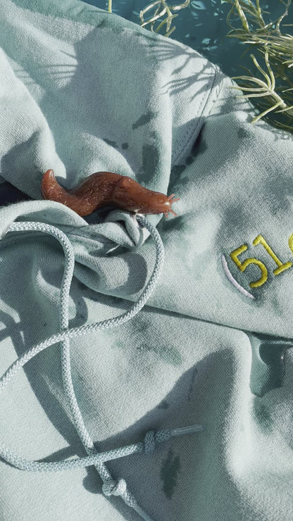 Mini (51🍋) - Swamp Sage